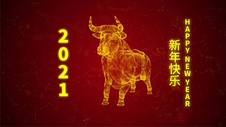 西迪技术股份有限公司20201年春节放假通知