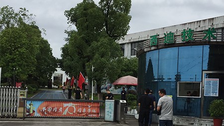 喜迎建党百年 党旗在西迪飘扬