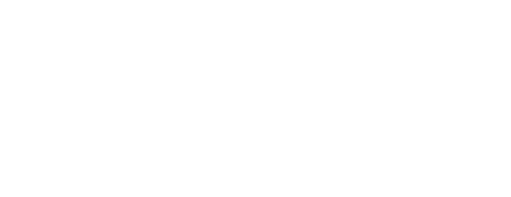 关于西迪